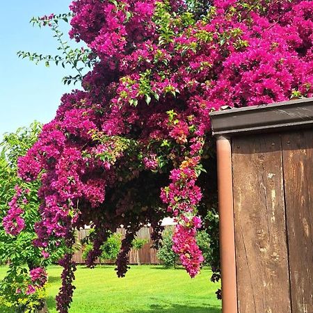 Villa Lucilla Altavilla Silentina Екстер'єр фото