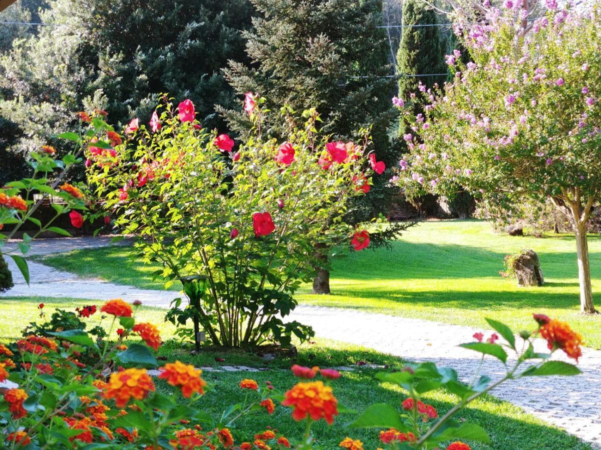 Villa Lucilla Altavilla Silentina Екстер'єр фото