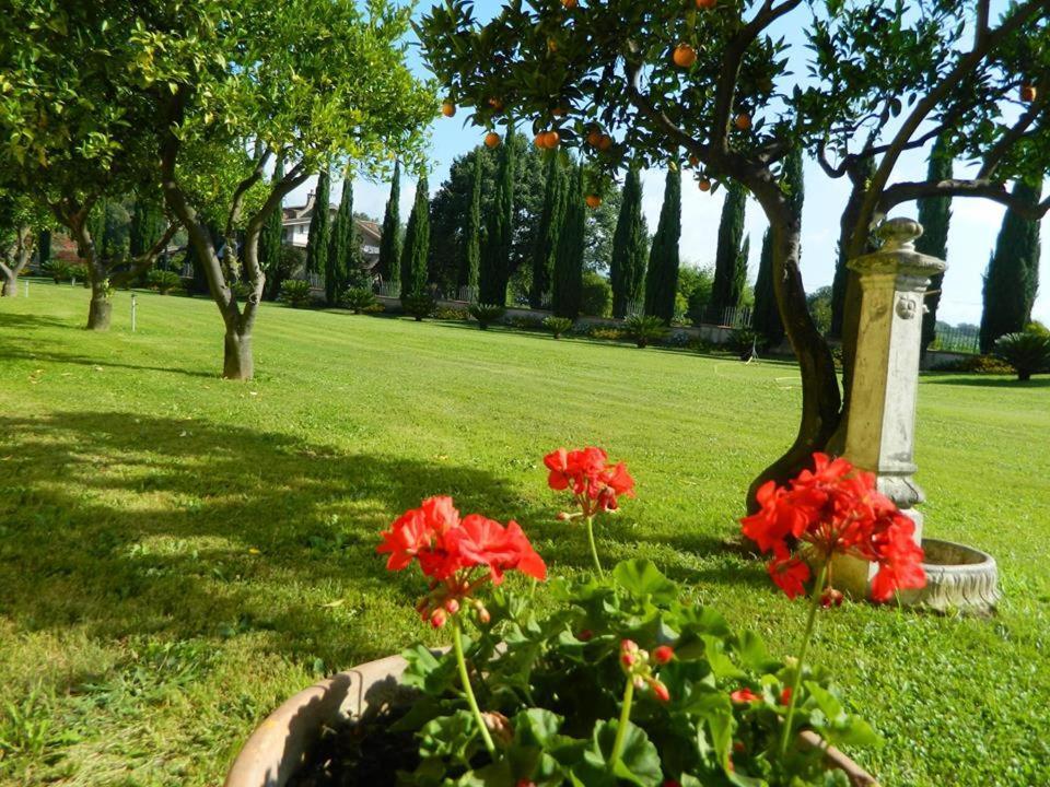 Villa Lucilla Altavilla Silentina Екстер'єр фото