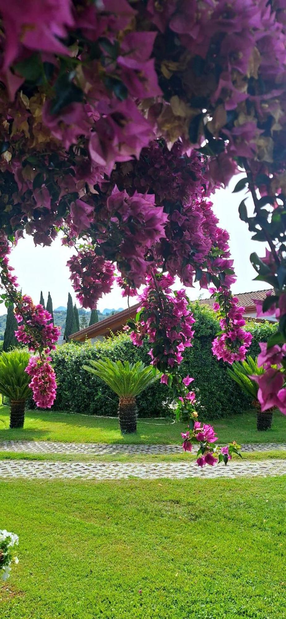Villa Lucilla Altavilla Silentina Екстер'єр фото