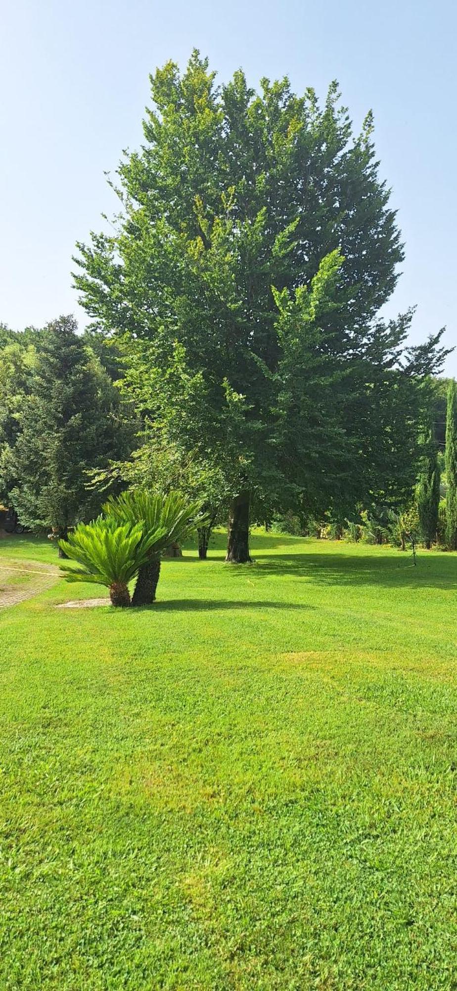 Villa Lucilla Altavilla Silentina Екстер'єр фото